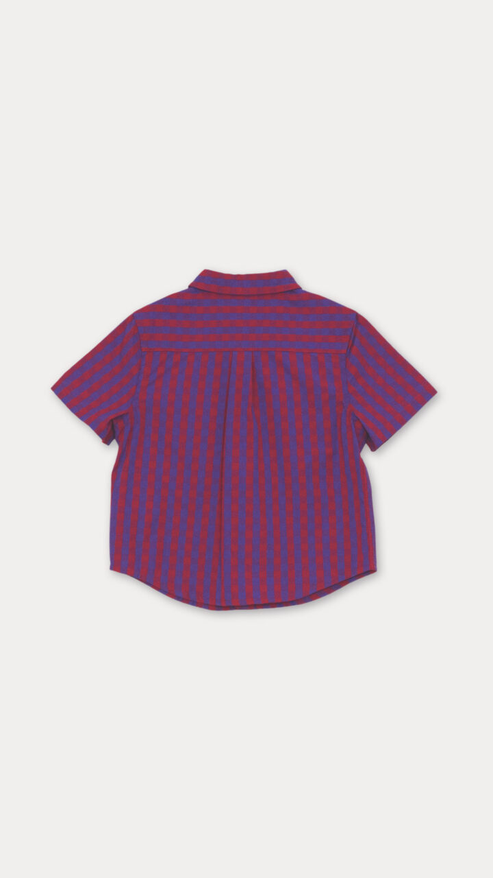 CAMISA DE CUADROS - Imagen 2