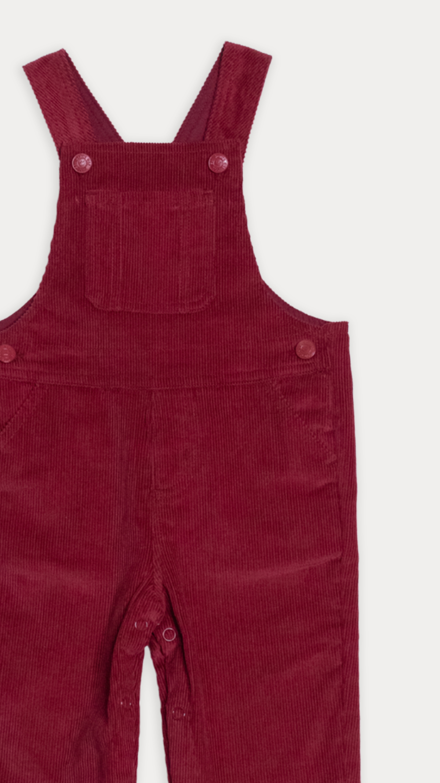 BRAGA VINOTINTO - Imagen 3